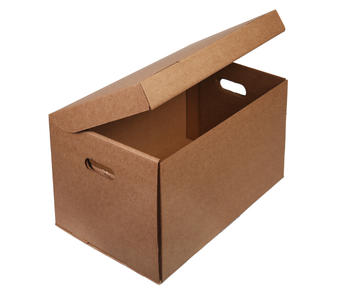 Архивная коробка с откидной крышкой 